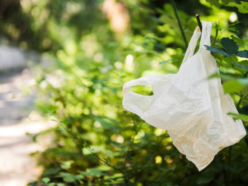 zdjęcie wyróżniające Konsumenci zużywają więcej foliówek w sklepach